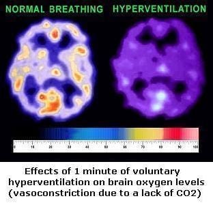 Breathing Slower and Less: The Greatest Health Discovery Ever