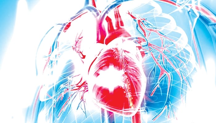 A wonderful complimentary treatment to reduce the risks associated with cardiovascular disease