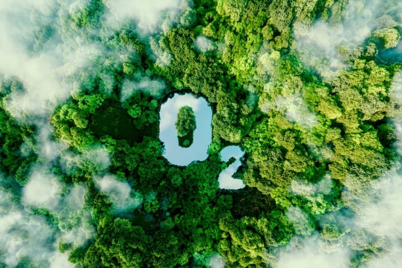 The Power of Proper Oxygenation: Detoxifying Body and Mind