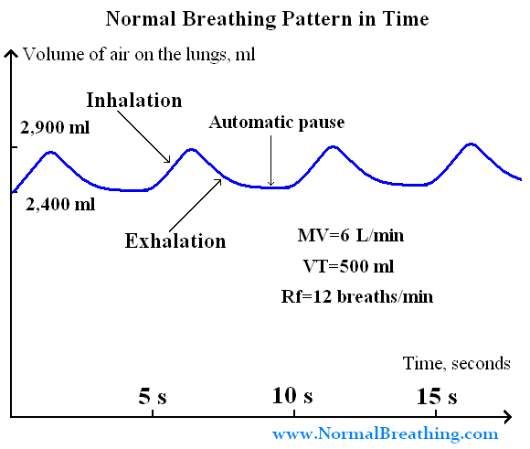 the term for your rate of breathing is